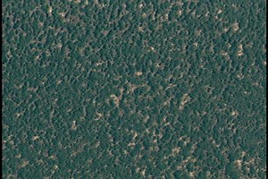 NASA Scientific Visualization Studio | Great Zoom out of Mongu, Africa (EOS Land Validation Site)