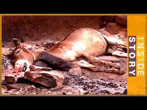 What's behind the ethnic violence in Mali? | Inside Story