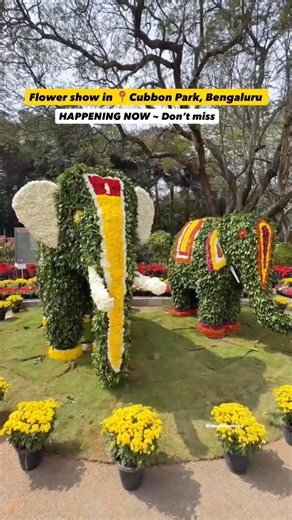 Cubbon Park Flower Show 2025