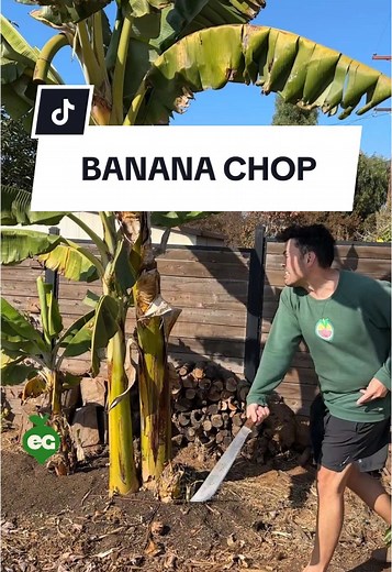 TikTok - Make Your Day