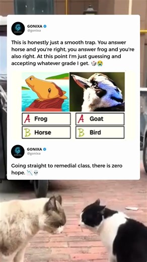 The teacher said it was easy, but the test chose violence 🤬📚