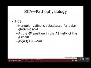 MLT 121 Lecture 16 Hemoglobinopathies Cont