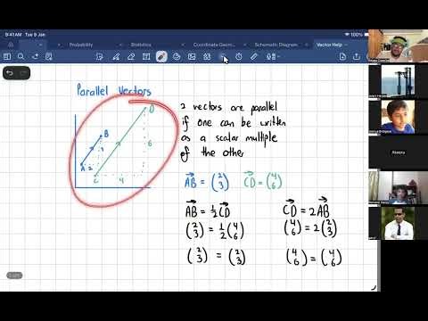 Review on Vectors (Parallel & Collinear Vectors)