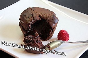 Autre: Poudre d'enracinement: application et précautions | 2025