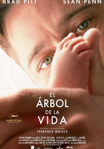 El árbol de la vida - película: Ver online en español