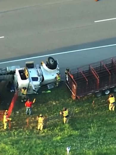 I-40 Rollover Crash Near Tinker AFB Kills Cattle, Westbound Lanes Closed