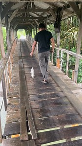 1.3M views · 10K reactions | mancing di jembatan saat hujan turun | Riki Andrian | Facebook