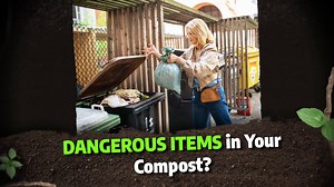 7 Items You Should Avoid Tossing into Your Compost Bin