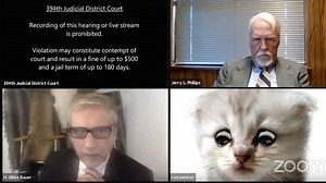 ‘I’m not a cat’: Lawyer tries to explain Zoom filter to judge