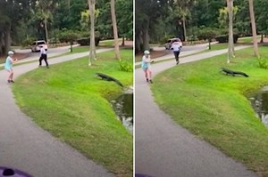 Fisherman charged at by alligator in stunning caught-on-video encounter