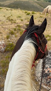 3.2K views · 228 reactions | Looking for a retreat to rejuvenate your mind? Visit a dude ranch, where you can immerse yourself in the refreshing mountain air and tranquil scenery. By the week's end, you'll feel completely revitalized! #duderanchvacations #duderanchhorses #duderanchlife #thevacationyoudidntknowyouneeded | The Dude Ranchers' Association | Facebook