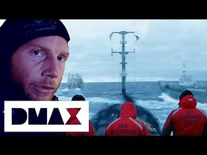 The Sea Shepherds Crash Into A Japanese Whaler Harpoon Ship | Whale Wars