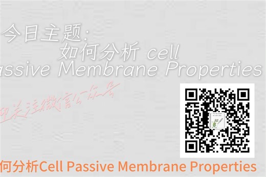 如何计算细胞的各项passive membrane properties