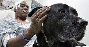 Blind man gets to keep dog that saved his life