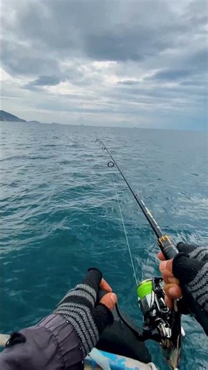 🐟 **ĐÀN CÁ NỤC XUẤT HIỆN | Một ngày câu cực đã giữa biển Quy Nhơn!** 🌊