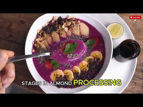 How Almonds Are Grown and Harvested Full Farming Process Explained