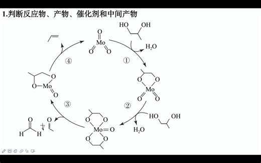 反应机理专题复习2