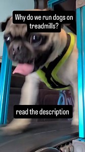 366K views · 4.4K reactions | treadmills, once or twice per week for...