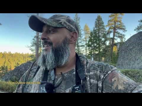 One-Day D Zone Hunt | Road Hunting