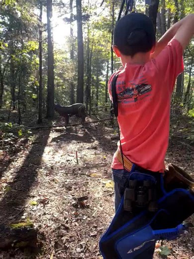 Top Archery Gear: Spot Hogg, Mathews, and More