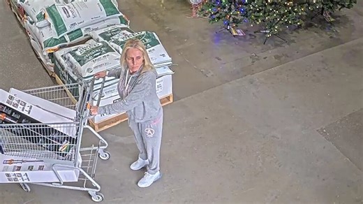 Crime Stoppers: Surveillance captures high-dollar theft at Bowling Green store