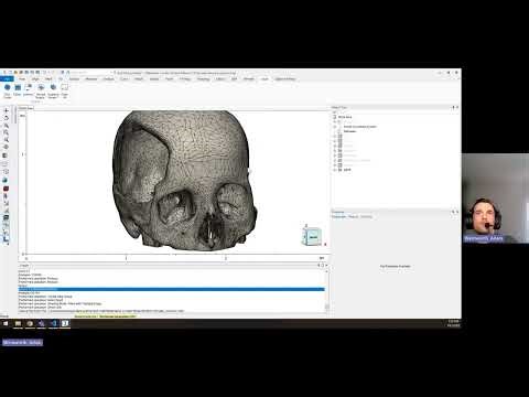 Scripting in 3-matic - Prep Anatomic Models for Virtual Reality