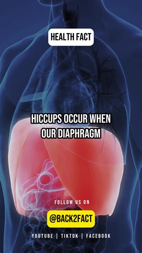 Understanding Hiccups: Causes and Facts Explained