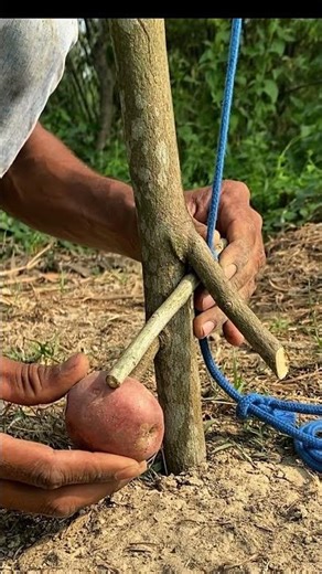 Primitive Trap Setup in the Wild 😱 Survival Skills You Must See!