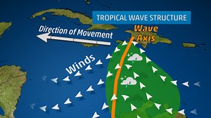 Weather Systems: Tropical waves and Hurricanes