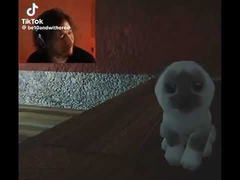 You are so portuguese meme markiplier