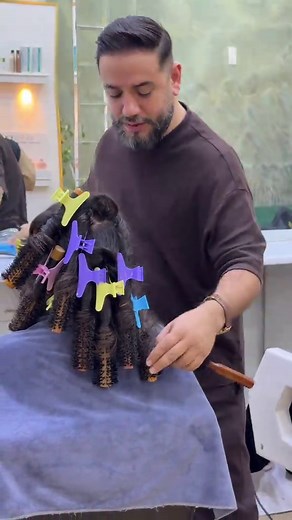 Brushing Ondulé : Techniques Faciles et Chic