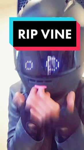 Exploring the Legacy of Vine Culture