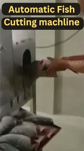 Automatic Fish Cutting Machine 😱😱🔥🔥ll Live Fish Cutting🐟 #fishcutting #livefish