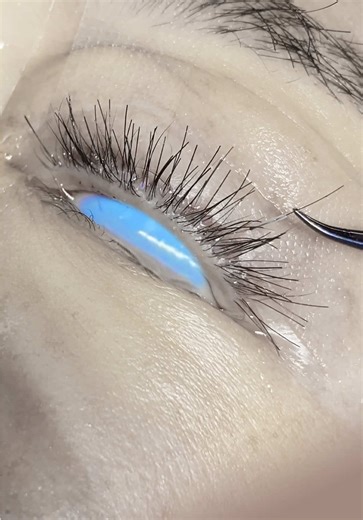 Eyebrow and Eyelash Transplant Guide for True Beauty