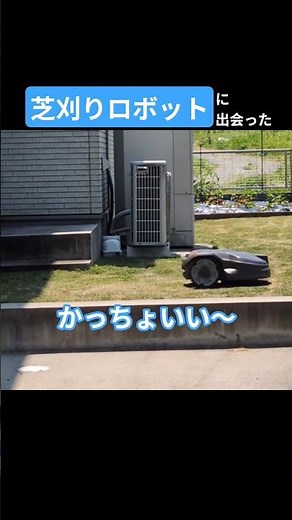 🚜自走式全自動 芝刈りロボット ルンバのお庭版…と思った #芝刈り機 #ロボット #お庭