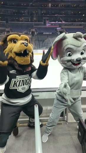 Mascot training with Bailey and ABC!