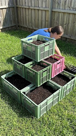 DIY Milk Crate Flower Tower: Easy Vertical Garden Hack! 🌸🪴