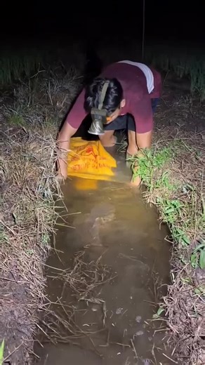 Exploring the Fascinating World of Fish