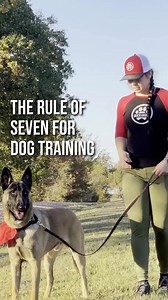 85 reactions · 27 shares | 7 rules of dog training. #360dogtraining #dogveterinary #dogtrainingadvice #dogmomma #dog #animalcare #Dogs #dogbreed #dogmom #dogvet | Jonathan Cox | Facebook