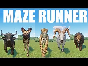 Maze Runner Animals Speed Races in Planet Zoo included Buffalo, Dog, Cheetah etc