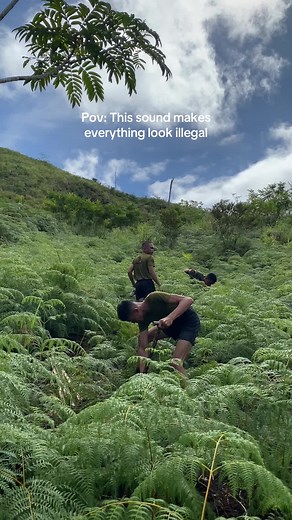 Tree Planting: A Sustainable Environmental Initiative