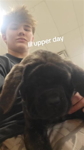 bench felt heavy asl #gym #powerlifting #gymmotivation #gymtok #lifting