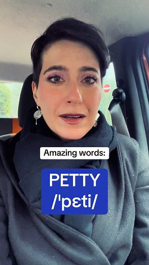 Understanding the Meaning of PETTY in English | YourLifeInEnglish