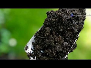 Reviving Over Fertilized Soil - How to Restore Balance After Chemical Damage