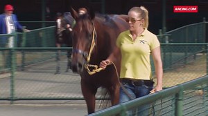 "We're so very lucky to work with such beautiful animals." Meet Jason Warren Racing stable employee Louisa Penn. #StrapperSpotlight Remember to tune into Country Catch Up at 10:45pm AEDT tonight! | Racing.com