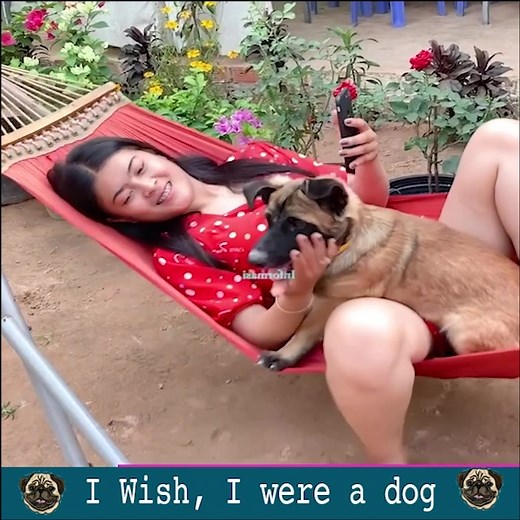 Smart Single Mum Teach Dog Do Yoga And Make Love | Qian Vlog