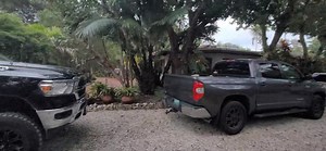 A COUPLE OF FRIED.............TURKEYS | FishMonster Key West