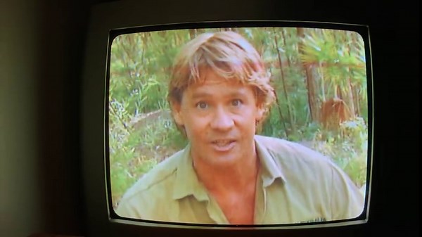 Opening to Barney Songs from the Park 2003 DVD (2006 Reprint)