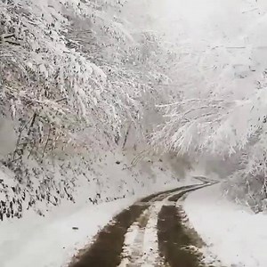 3.6K views · 176 reactions | Ata mountain “Ata Kooh” - Larijan county - Mazandran province - Northern Iran | Iranic | Facebook
