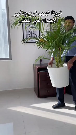 فيديوهات أنشأها outbox Creative Agency (@outboxagency) باستخدام Oh No - Kreepa